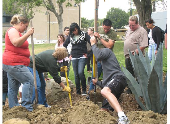 Students planting a tree on Earthday
