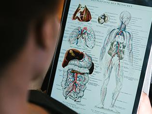A person studying anatomy on a tablet.