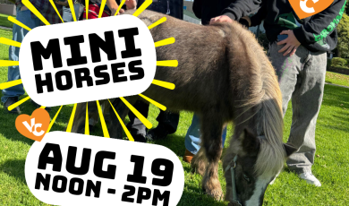 Mini Horses Aug 19 noon to 2 pm Studens with mini horse