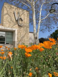 Outside the Ventura College Admin building, overlooking cali