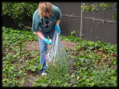 Campus Clean Up