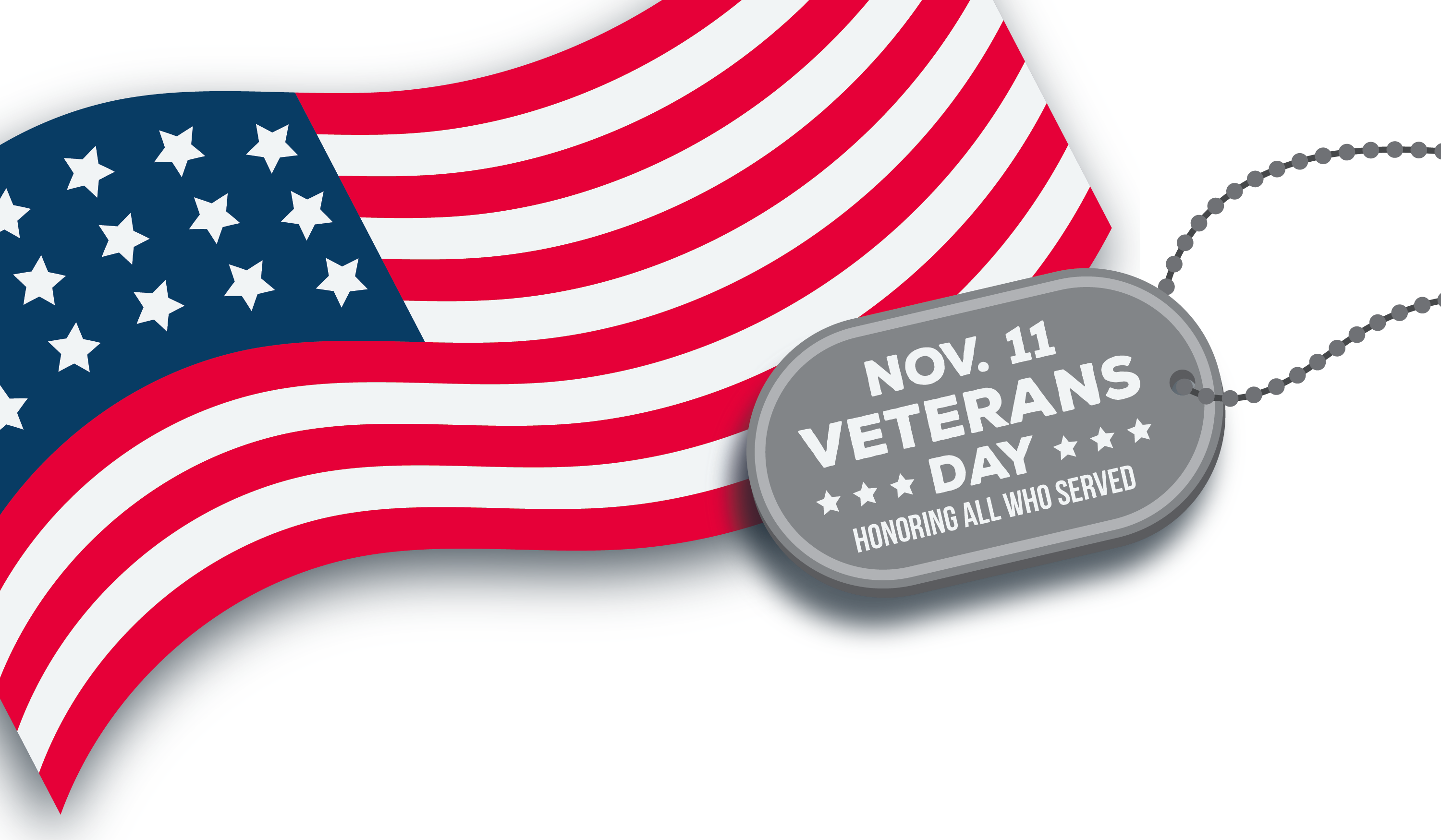 Veterans Day November 11