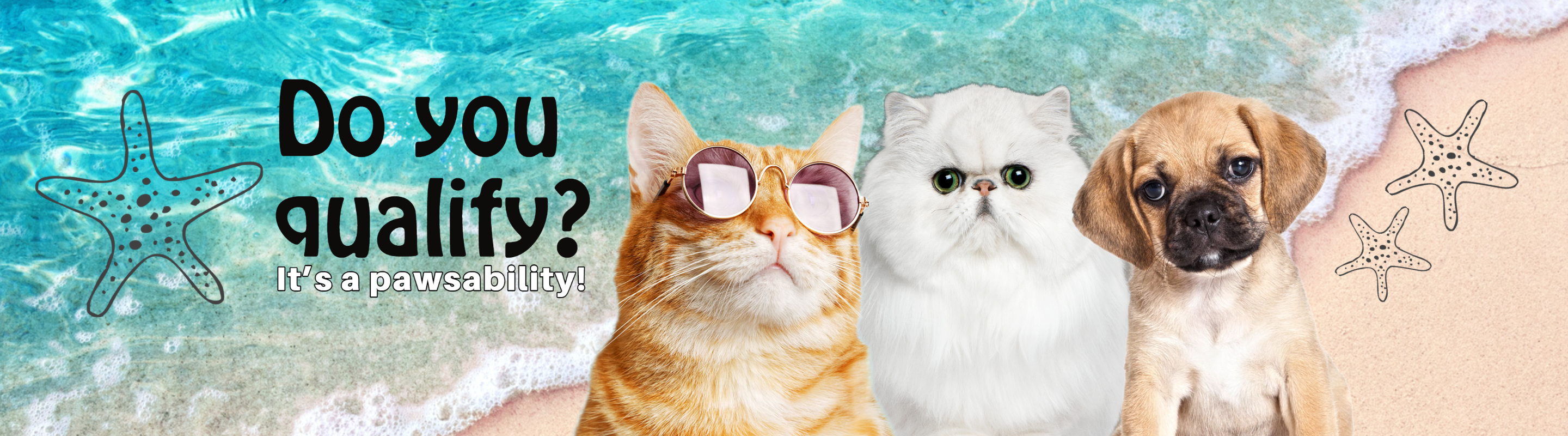 Photo of 2 cats, 1 dog at the beach, text that reads 'Do you qualify? It's a pawsability!'