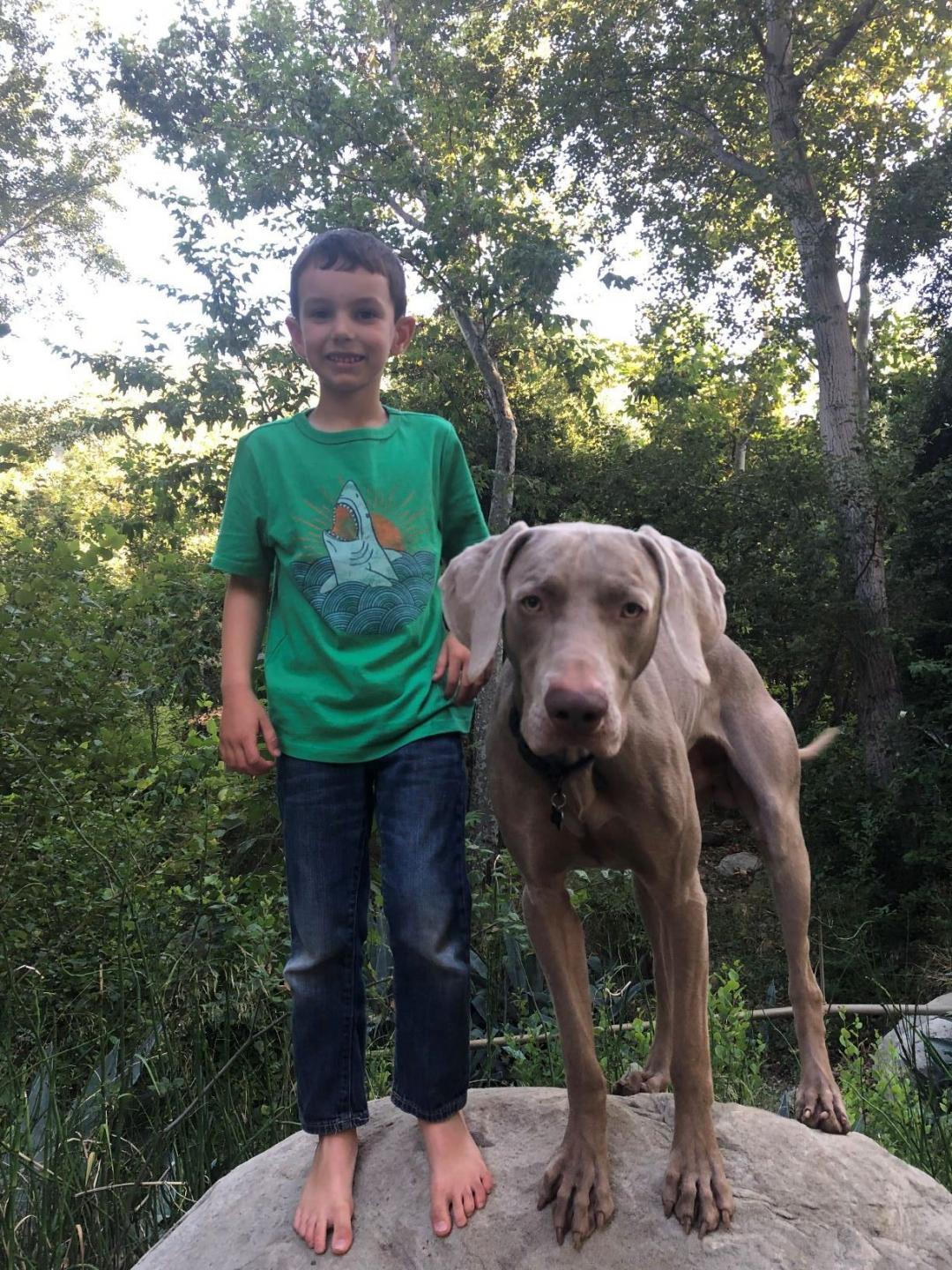 Andrea's son with family dog.