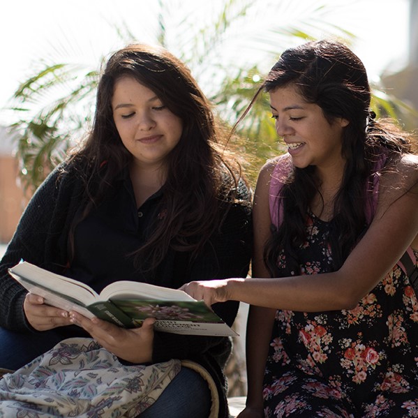 Student study outside Library