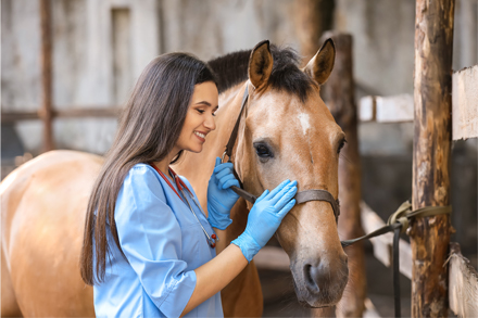 VT Girl Checking Up On Horse