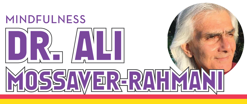 mindfulness dr. ali mossaver-rahmani