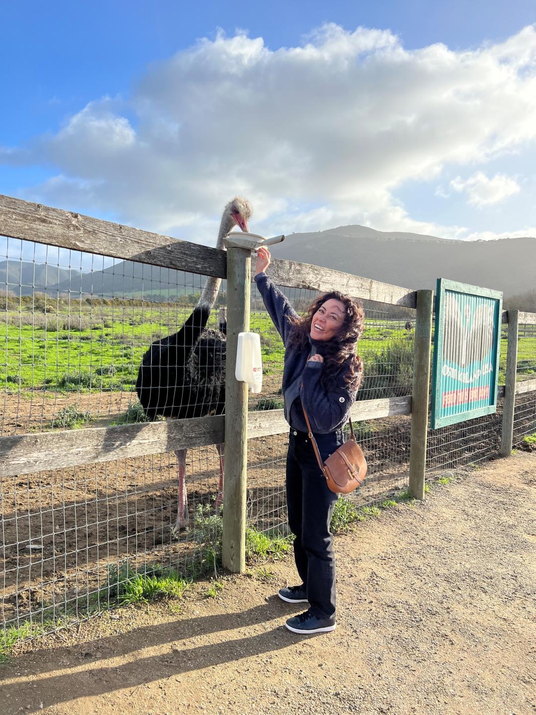 Alejandra feeding an ostrich