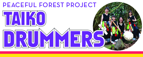 Peaceful Forest Project, Taiko Dummers