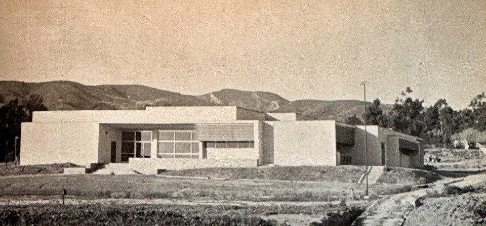 1955