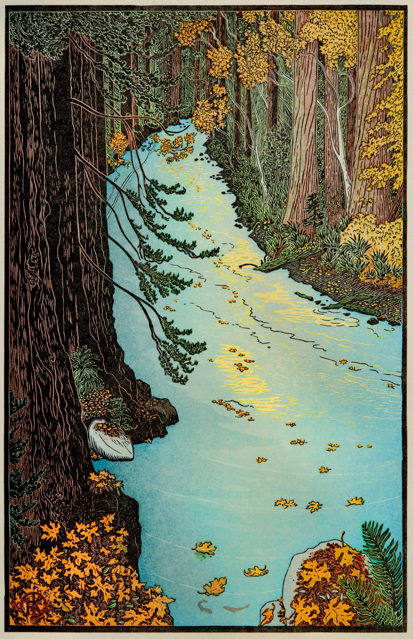 Creek flowing by trees