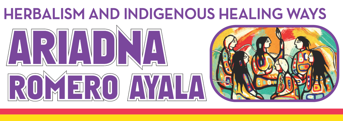 ariadna romero ayala herbalism and indigenous