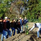 Mission Produce, Inc. employees discussing the new avocado orchard. 