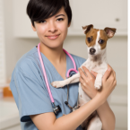 Female veterinarian holding a small white and brown dog.