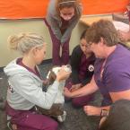 three vet tech students care for a dog