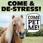 Come and De-Stress Come Pet me