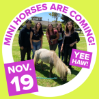 Mini horses are coming Yee Haw Nov 19