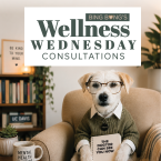 Bing Bong's Wellness Wednesday Consulations Dog with Glasses in therapy office