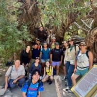 Ventura College students with Conserva Loreto Program Director Dr. Sula Vanderplank. The Olive Tree behind the students is one of the oldest living trees in Baja California. Students visited Mission San Francisco Javier and the desert in the Sierra de la Giganta mountain range.