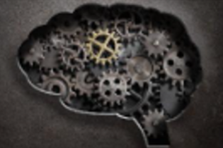 behavioral sciences