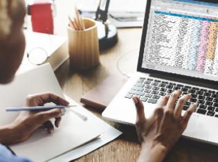 A person reviewing spreadsheets on a computer.