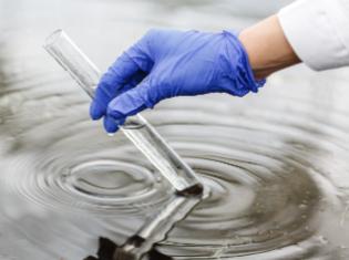 A person taking a test tube sample from a pool of water.