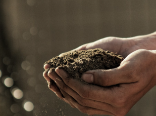 soil in hands