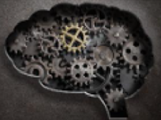 behavioral sciences