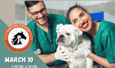 Vet Tech Info Sessions