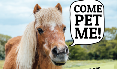 Come pet me. Wednesday, March 13, noon to 3 p.m Lawn near Guthrie Hall. Ventura College logo