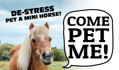 De-Stress. Pet a mini-horse. August 14 12:30 p.m. - 2:30 p.m.