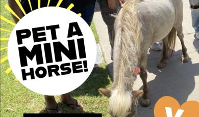 Pet a mini horse, April 9 VC noon to 1:30 p.m. Guthrie Hall Lawn