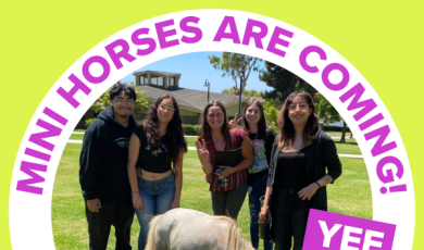 Mini horses are coming Yee Haw Nov 19