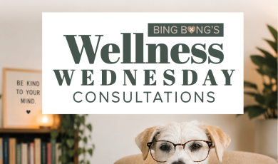 Bing Bong's Wellness Wednesday Consulations Dog with Glasses in therapy office