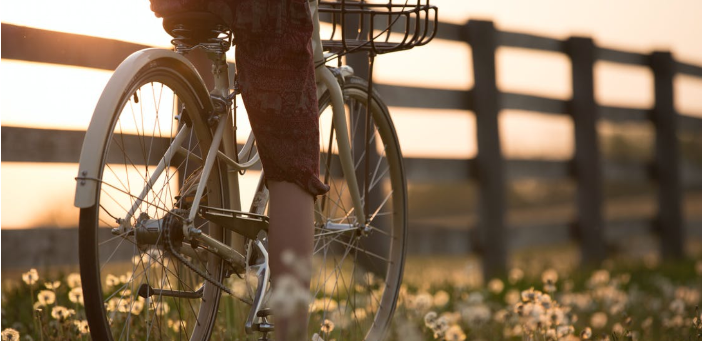 Girl on bike in a field of flowers 