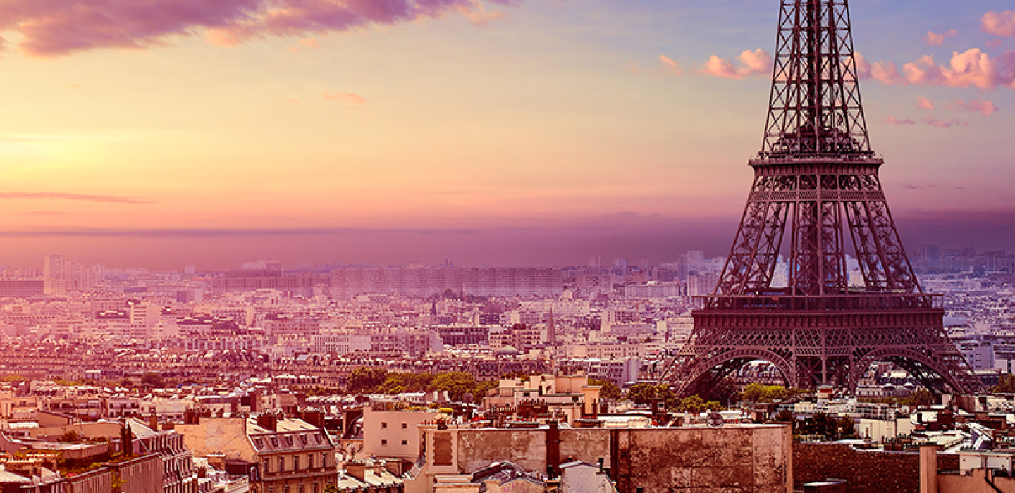 Wide angled view of Paris and the Eiffel Tower.