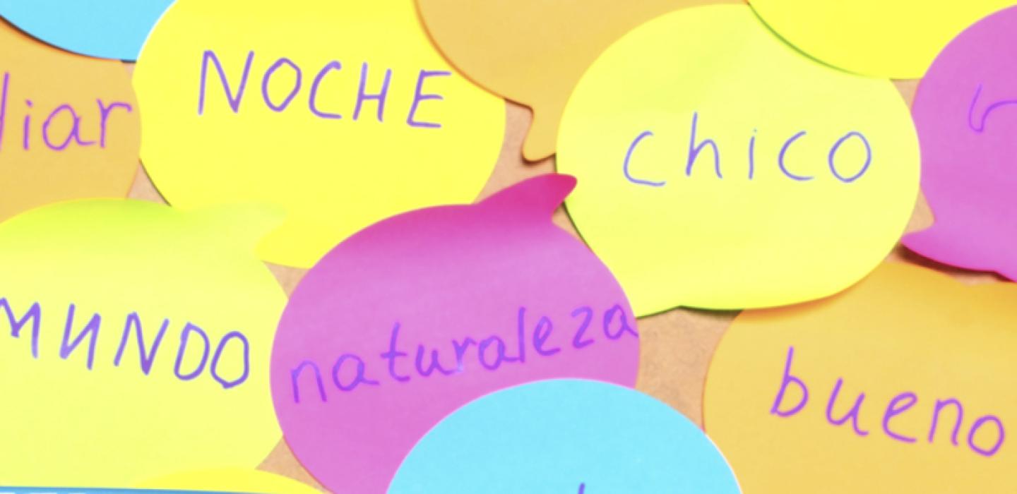 Several post it notes with spanish language words written on them.