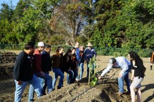 Mission Produce, Inc. employees discussing the new avocado orchard. 