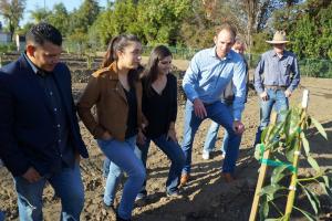 Ventura College Students and Mission Produce, Inc. Employees at the new avocado orchard on the Ventura College Campus.