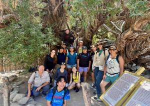 Ventura College students with Conserva Loreto Program Director Dr. Sula Vanderplank. The Olive Tree behind the students is one of the oldest living trees in Baja California. Students visited Mission San Francisco Javier and the desert in the Sierra de la Giganta mountain range.